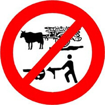 Traffic Sign